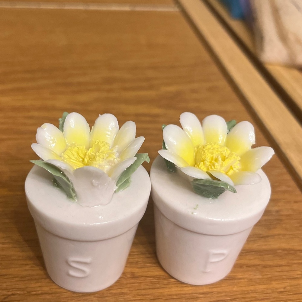 Vintage Flower pot salt & pepper shakers